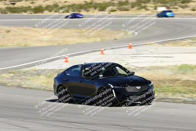 media/Oct-07-2023-Extreme Speed (Sat) [[96db232155]]/3-Purple/session 2 turn 8/